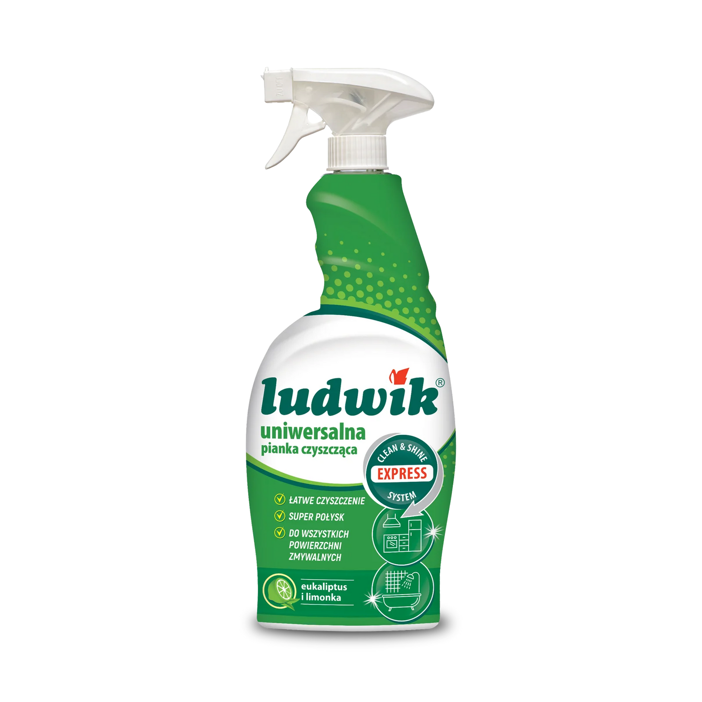 Ludwik all purpose cleaner 750 ml - Montajmart