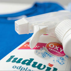 Ludwik Color Fabric OXY Stain Remover Spray – 250 ml