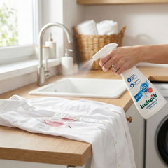 Ludwik White Fabric OXY Stain Remover Spray – 250 ml