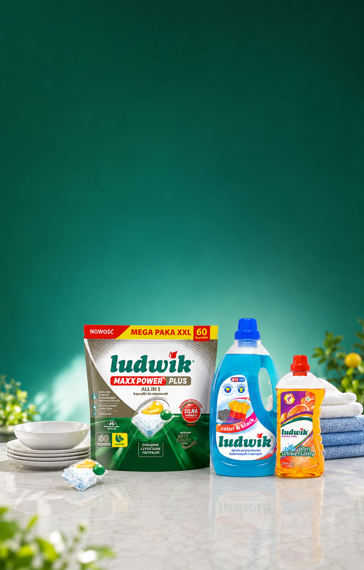 Ludwik dishwasher, laundry and universal cleaning products in a bright vibrant home
